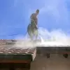 Roof washing in Newton MA