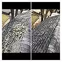 Roof cleaning  25